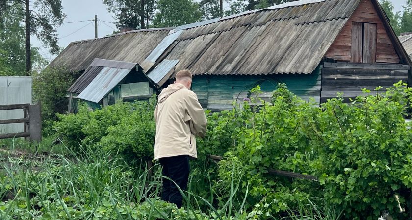 После 25 мая всегда закапываю тряпку на огороде — странный, но рабочий метод от французских фермеров