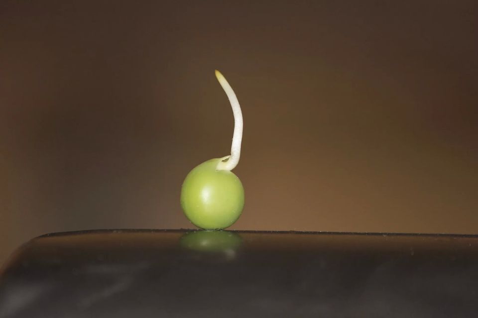   :     
