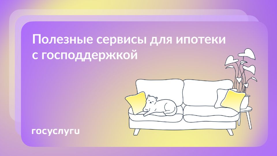   -     2025 
