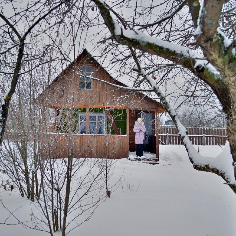 Декабрьские заботы садоводов: важные дела для зимнего уюта