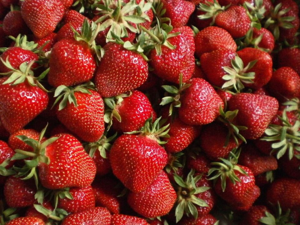 Загадка стеблей: почему клубника желтеет и что с этим делать?