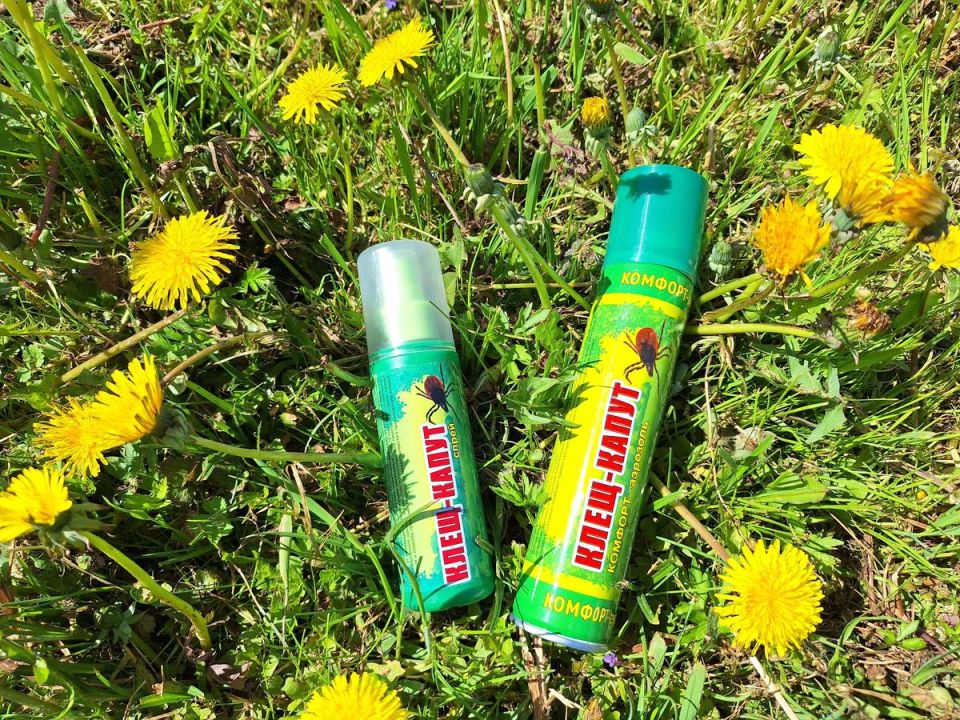 ��� ���������� �� ������ � ���������: ��������� �������� �����-�����