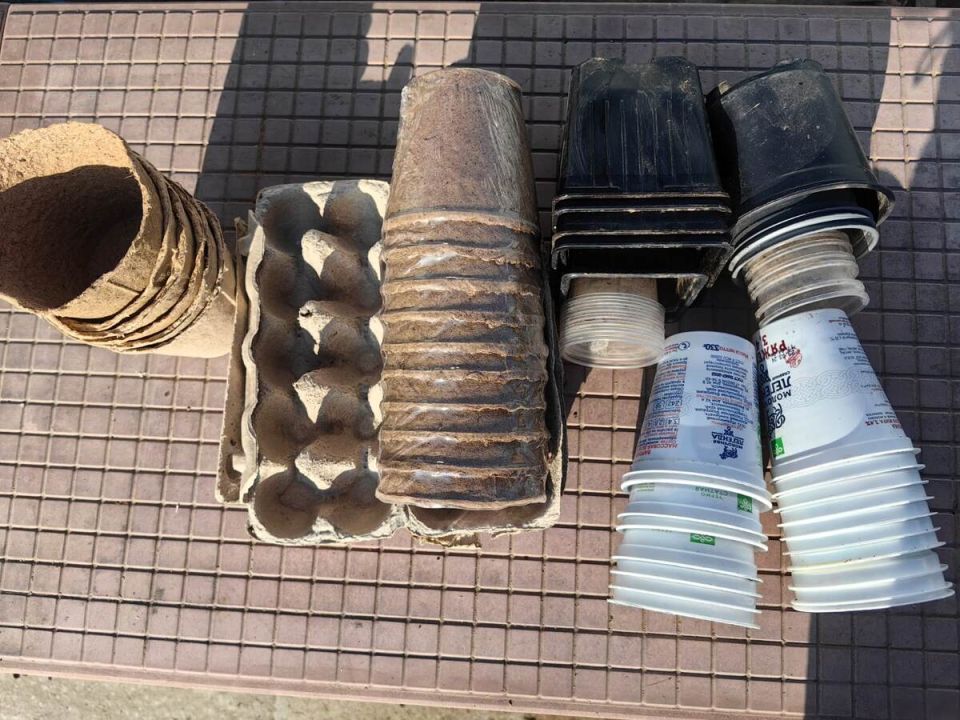 ��� �� ���� �������� ������������: 7 ������� �����