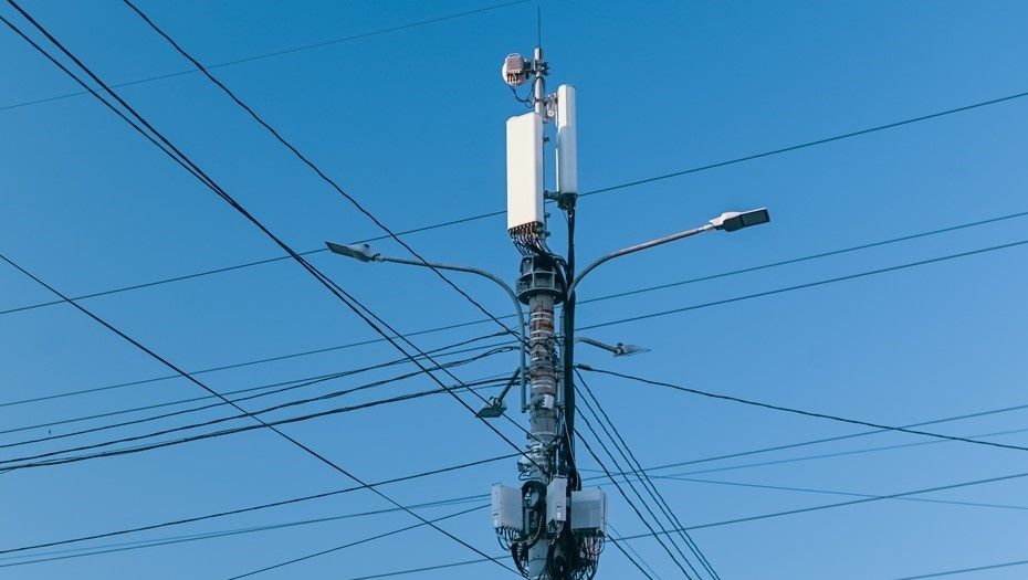 ��� ����� ������� ���������� ���������� ��������� ������ ����� �������