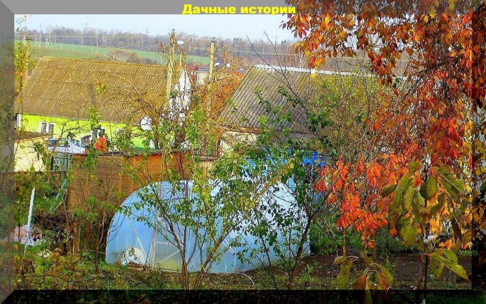 ����� � ����: ���� ������� ����� ��� ��������� ���������� � ����