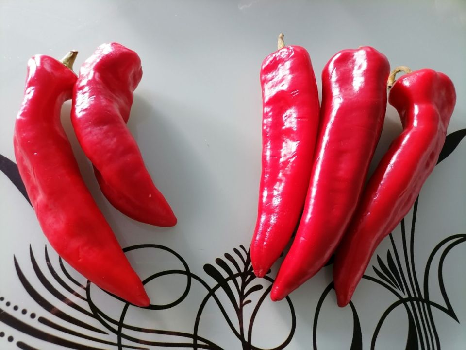 ����� � ������: �����, ������� ����������� ������ ��������