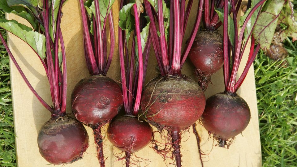 � ������� ��������� ������ ��������� ����� �������: ��� ��� ��� ������