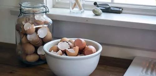 ��� ������� ������ �������� ����� ����������� ��� ���?