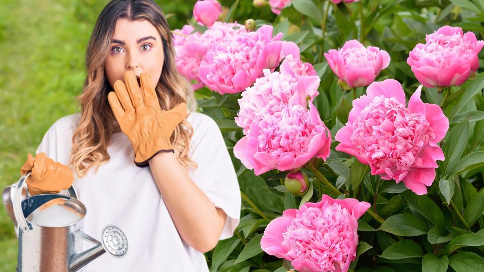 ������������ � �������� ������ ��� ������: ������� �������, � �������� � � ��� �����