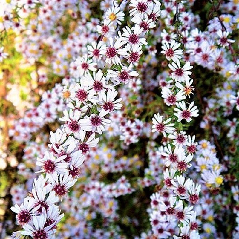 ���������� ����� ����������� ����� � ������