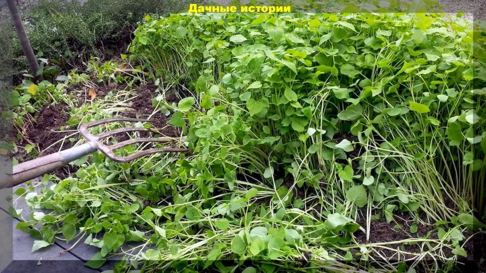 ��������: ������������ ���������� ��� ���� � �������?