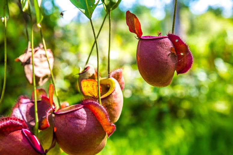 ��������� �������: ��� �������� ���������� ������ ��� ����������� ����������