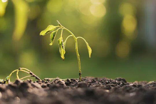 ����� �������� � �������� ������� ����