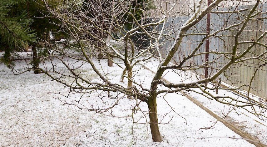 ������������ ����: ��� ��������� �������� � ���� �� �������