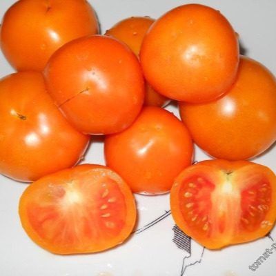 ����� ������� ����: ��� �������� ������ ������ �� ����� �������