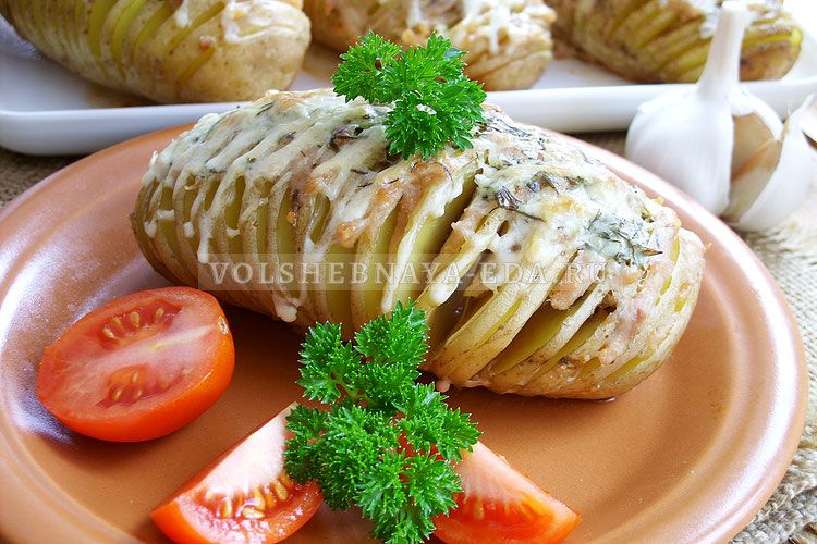 ����������� ���������: ��� ����������� �������� "��������" � ������