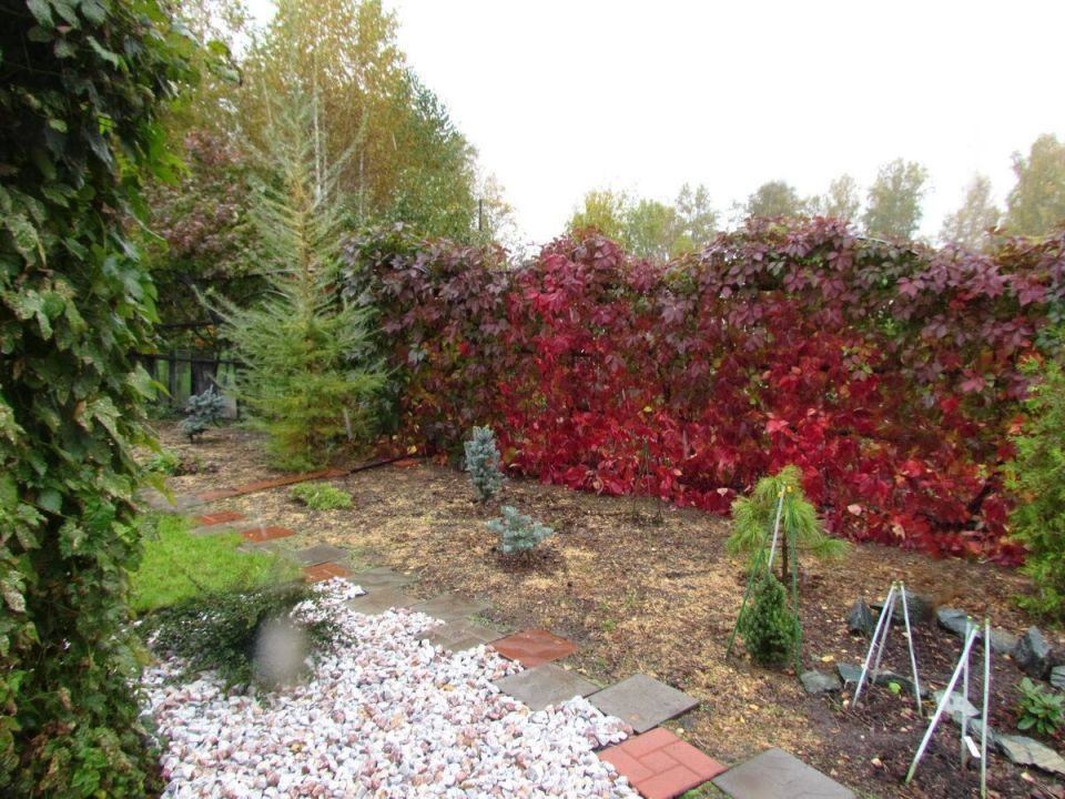 ��� ����������� ������ �������: 9 ������ ���� ��� ������ ����