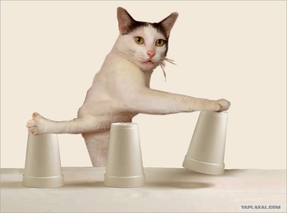 ������ ������� �������� ����������� � ���������� ��������