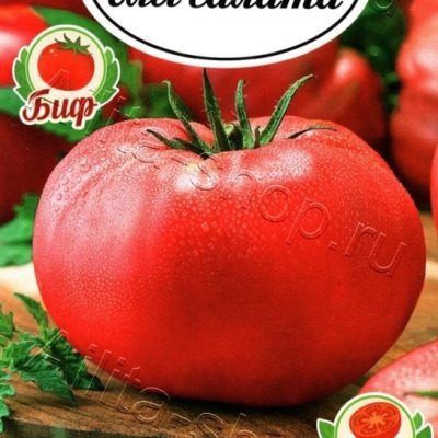 ����� �������� �����: ��� ��������� ������� �����