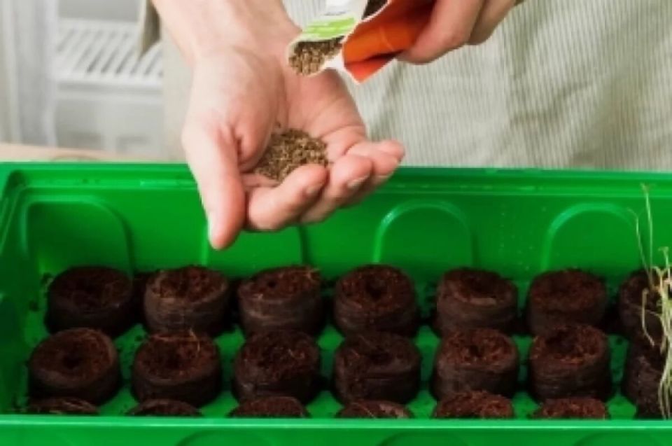 ��������������� ���������������� ��������� ��������� ����� � �������� ��� ��������