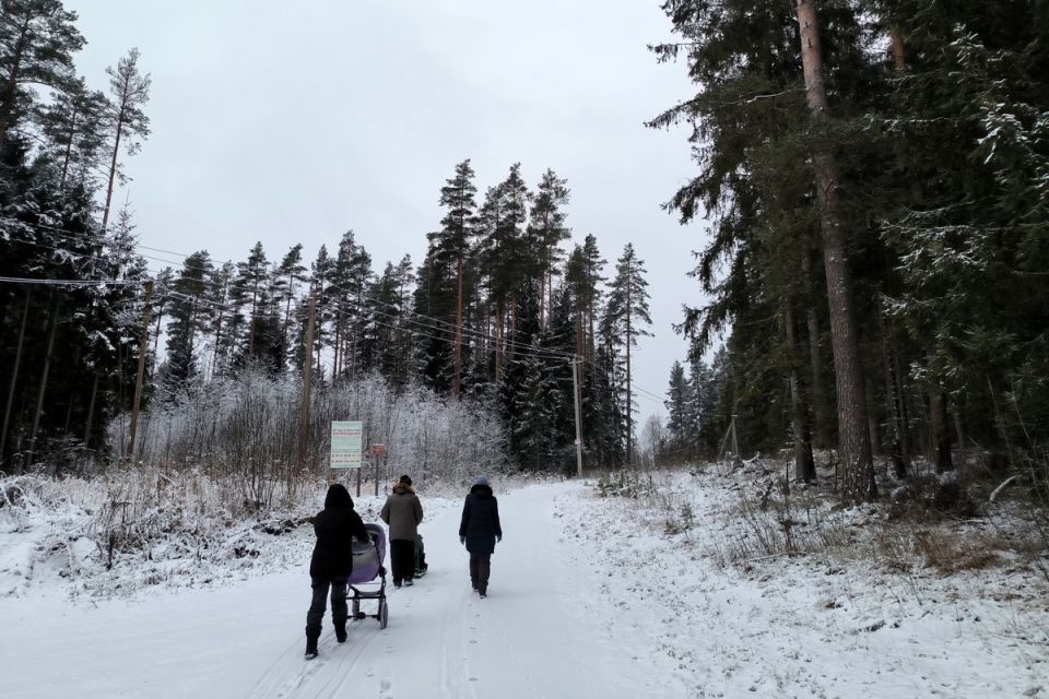 ������������ ������ ������ ������, ������� ����� �� ��� ������������