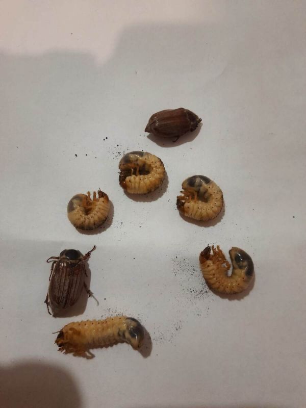 ��� �������� �������� �� ������� ������� �� ������� ������ � �� �������