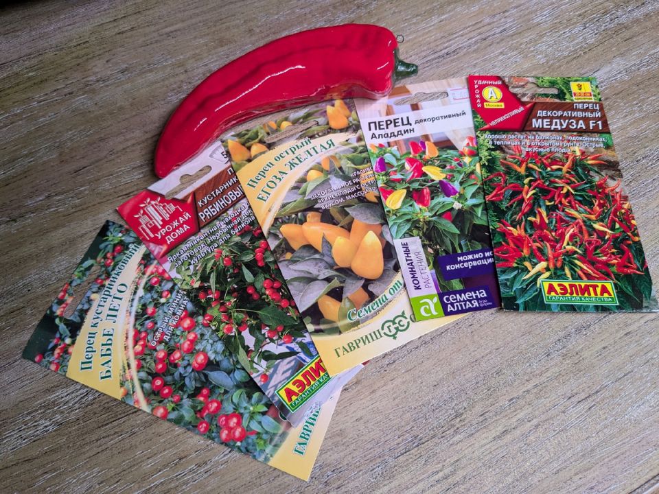 ������� �������: ��� ���������� ������������ ����� � ������� ���� ������ ����