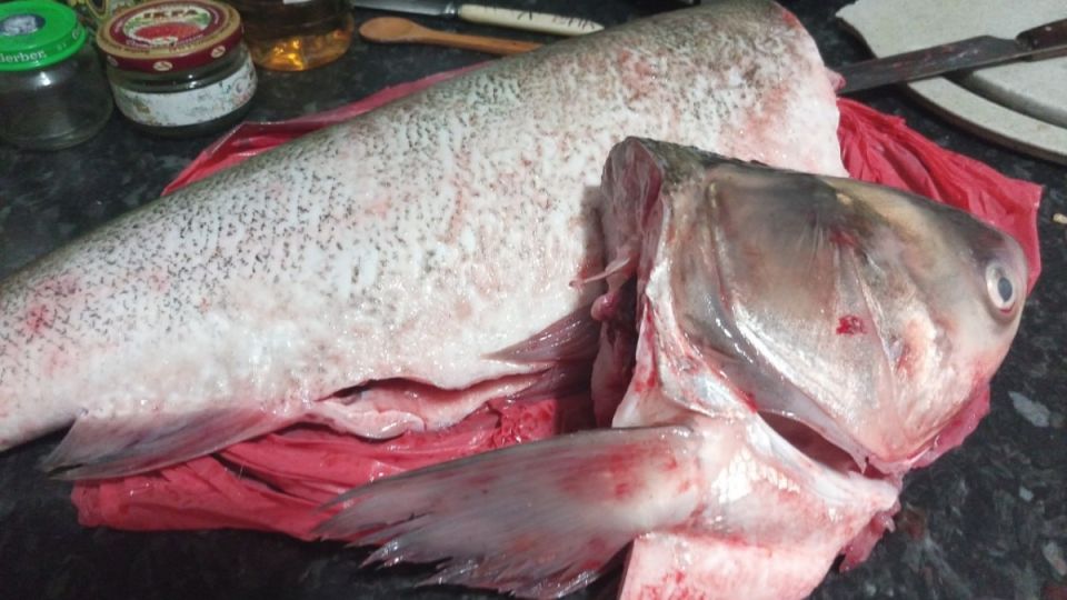 ����� � ����� � �����: ���������� �� ���������� ��������