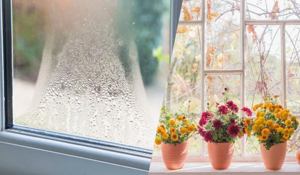 ��� ����� ����� �������� �� ���������� �� �����: ������� ���������