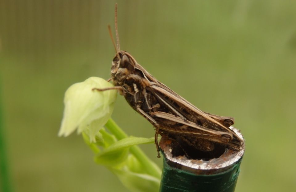 ���������: ������������ ����� ���� � �� ������� �� �������