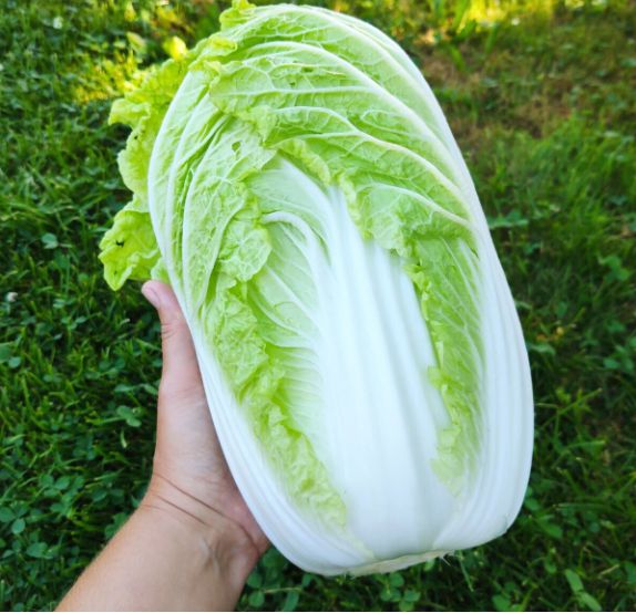 ��� ��������� ��������� ������� � ������������ ������ ������� ������