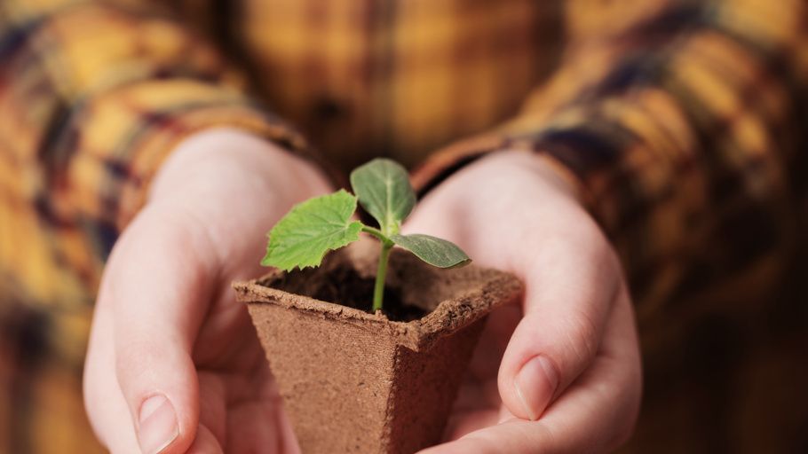 ��� ������� ������� ������ ������� � �� ������������� �� �������