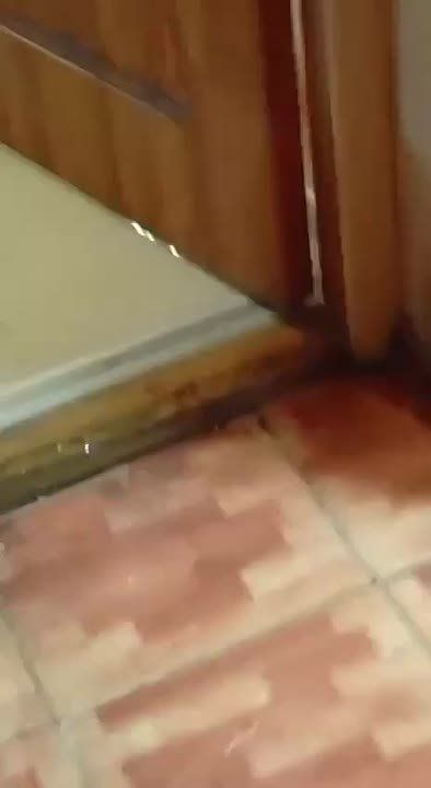       :      5- 