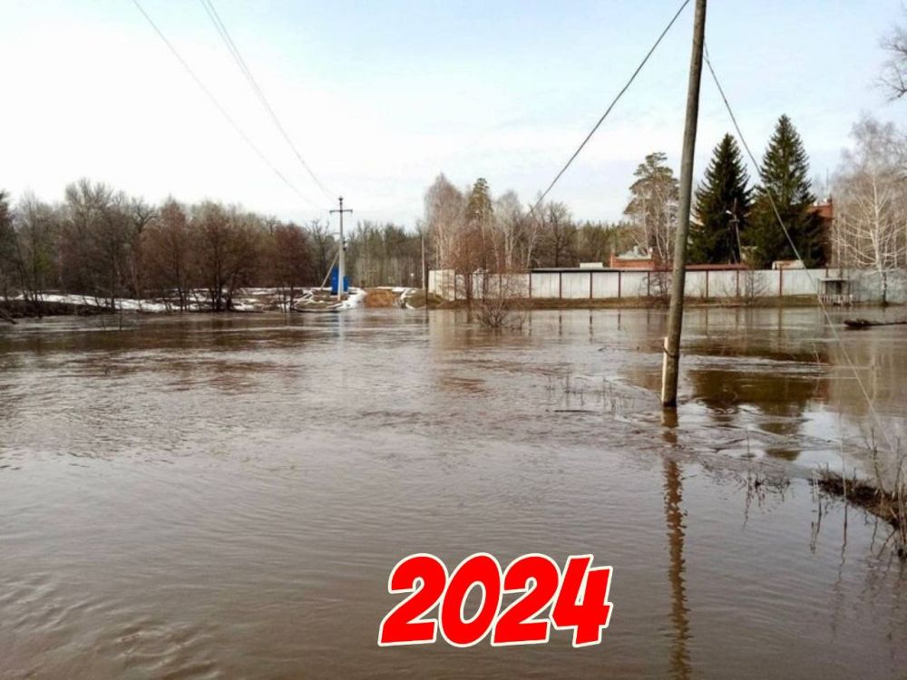  :   -2024       