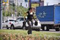 На улицах Оренбурга высадили розы