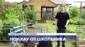  . Программу ИТОГИ НЕДЕЛИ НА ОРТ