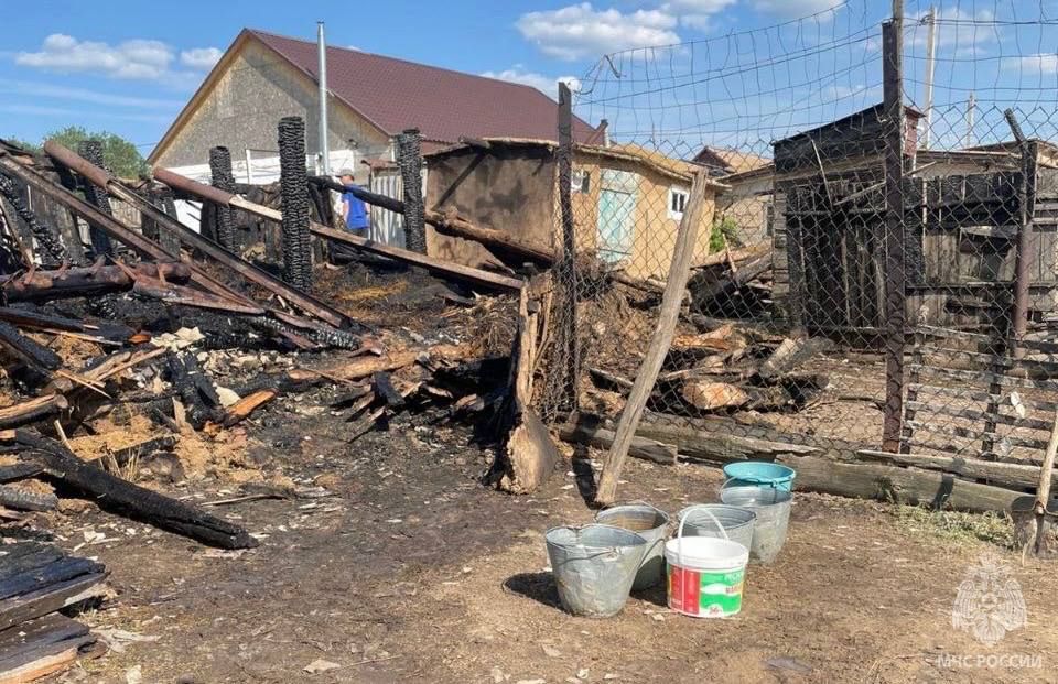 В Соль-Илецком м.о. на пожаре сгорел скот