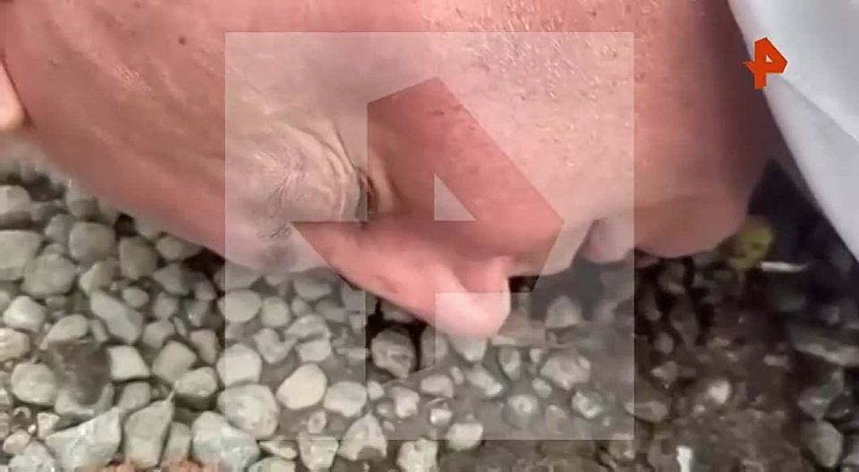  ,   ,   