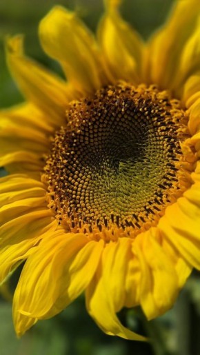  !    6 