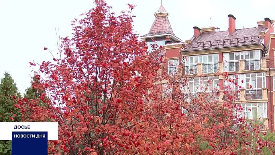 В ОБЛАСТНОМ ГИДРОМЕТЦЕНТРЕ РАССКАЗАЛИ О ПОГОДЕ НА ПРЕДСТОЯЩУЮ НЕДЕЛЮ