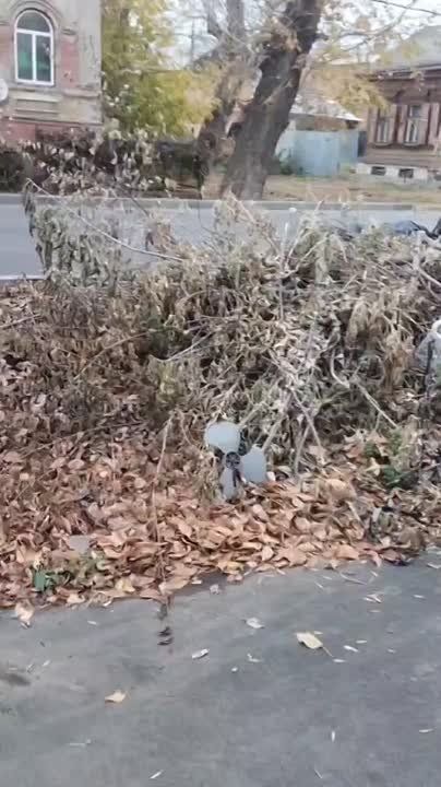 Субботник обернулся для жителей улицы Казаковской Оренбурга антисанитарией