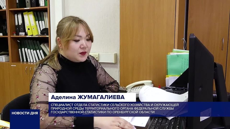 ДЕНЬ СТАТИСТИКА . Этот праздник отмечают один раз в пять лет