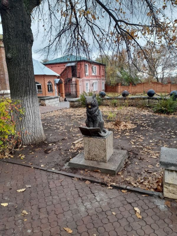 «Кот ученый» теперь встречает гостей Музея истории Оренбурга