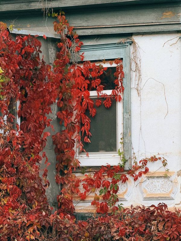 Доброе утро, Оренбуржье! Прогноз погоды на 22 октября