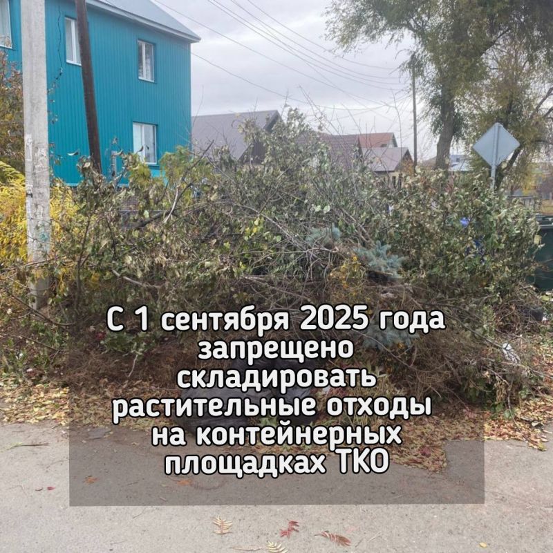 С 1 сентября 2025 года запрещено складировать растительные, древесные отходы на контейнерных площадках ТКО и прилегающих к ним территориях