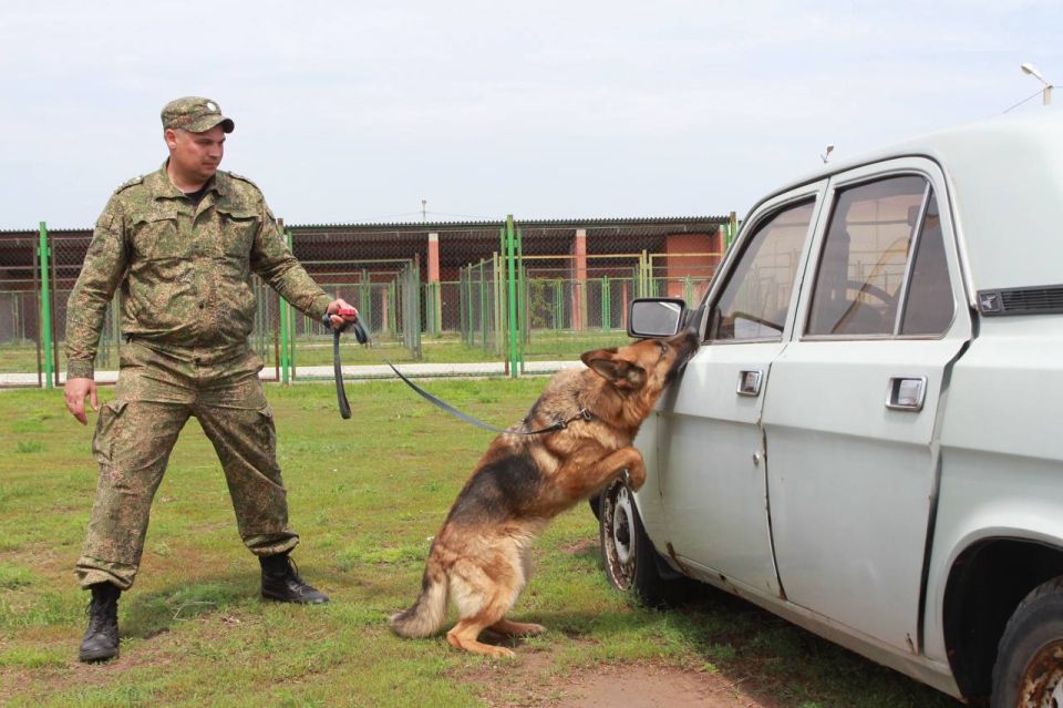 Евгений Солнцев: Уважаемые сотрудники и ветераны таможенной службы, поздравляю вас с профессиональным праздником!