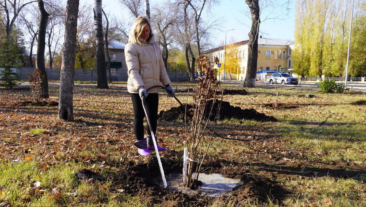 Вместе сделаем город чище: оренбуржцы присоединились к общегородскому субботнику Вместе сделаем город чище: оренбуржцы присоединились к общегородскому субботнику