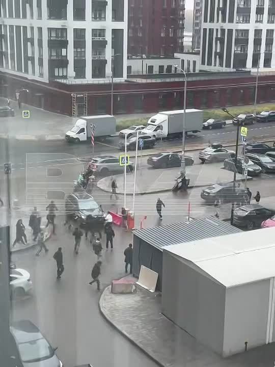 Около 40 человек задержали после драки в ЖК «Прокшино» в Москве, сообщила официальный представитель МВД России Ирина Волк