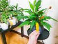 Как разнообразить длинные выходные: идеи для зеленого оазиса