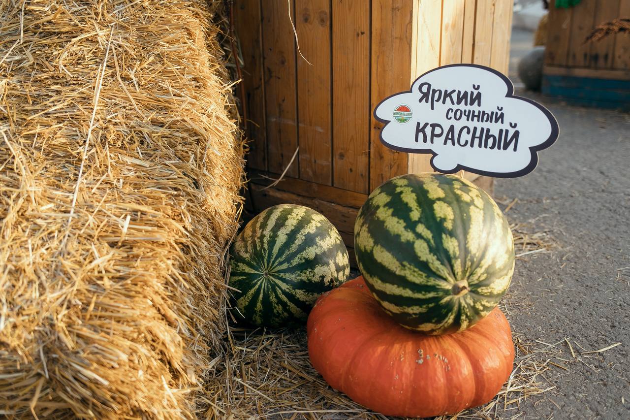Турпоток в Оренбургскую область в летние месяцы вырос более чем на четверть Турпоток в Оренбургскую область в летние месяцы вырос более чем на четверть